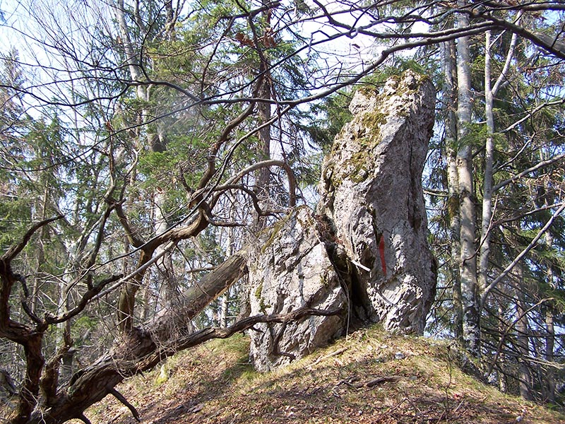Felszacken